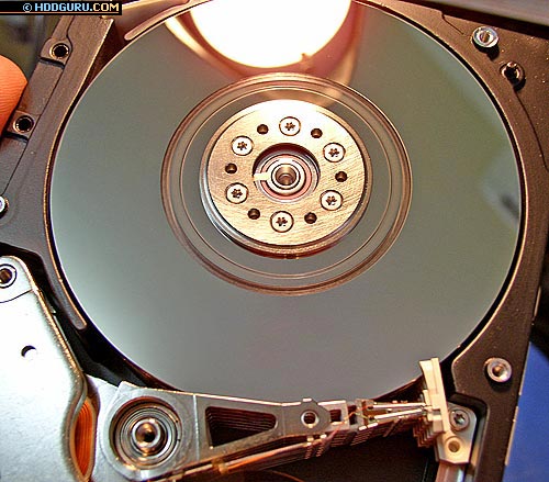   (8 ) SCSI  IBM,     