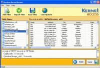 Kernel Access - Corrupt Database Repair