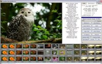 RecoverPlus Photo Recovery 2.5.495