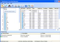 Disk Doctors Linux Data Recovery 1.0