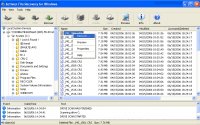Active File Recovery for Windows 