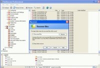 FileRescue Professional 
